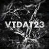 vtdat23