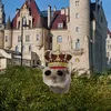 ziutek066