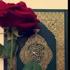 user9433077819881