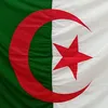 vivela_palestine_algerie