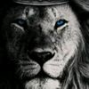 user182581509472