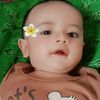 anis_kanzo2