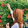 prin_cess.imy
