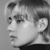 tae.xxl