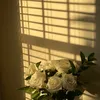 esteticgirl1