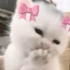 thisismeyas2
