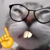 nor_9n67