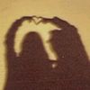 ara_shirley._.1