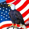 georgefloyd2020325