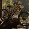 noah_mtb36