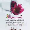 noreenali302