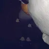 just_nayoo