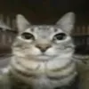 erik.7_