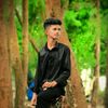 mr.nobin1max1