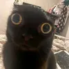 yo.b3nja2