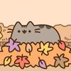 thekatzexd
