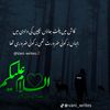 shirazi754