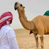 alra_shdi_107