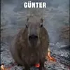 ilovecapybara122