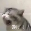 linhlinh_lyn