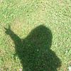 evelna55