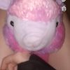nugget_1432