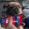 perro_cule_