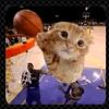 gatosposy