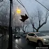thichdibar96