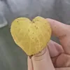 abbiedabby0