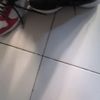 xql000