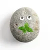 justarockmint