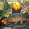 fishingvideosfr