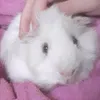 kayamae07