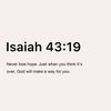 haille_nashe