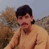 nehmatullah74