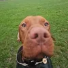 lucaedwards01