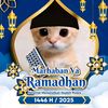 adji.indra