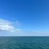alfiesloan23