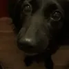 bettinanickypltz