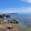 falena_98