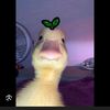 i.dont.likeeyouu