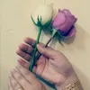 shazhngyan89