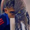 ama_ro26