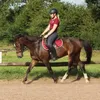 elisa_dressage