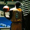 cheesechaser_jit