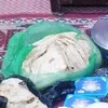 hasanwale5