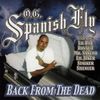 el_sancho66