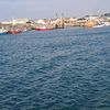 user1203082811952