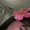 aldusski